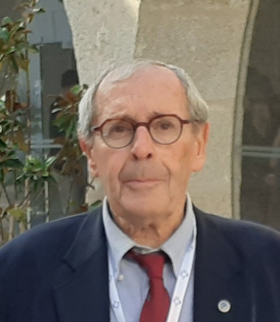 Prof. Michel ROUSTAN